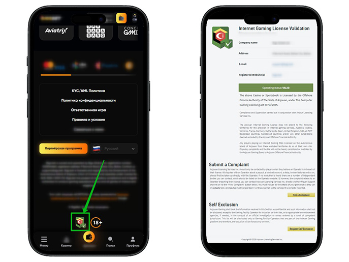 Данные о разрешении на работу