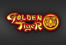 Golden Tiger