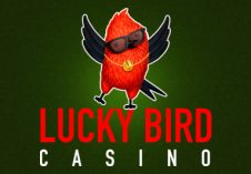Lucky Bird